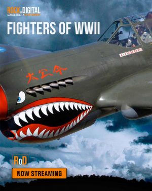 Fighters-of-WWII
